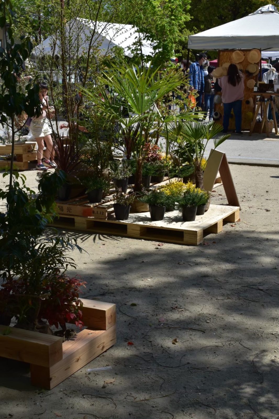 愛知県あま市甚目寺コミュニティつなぐ市場マルシェの緑の休憩所