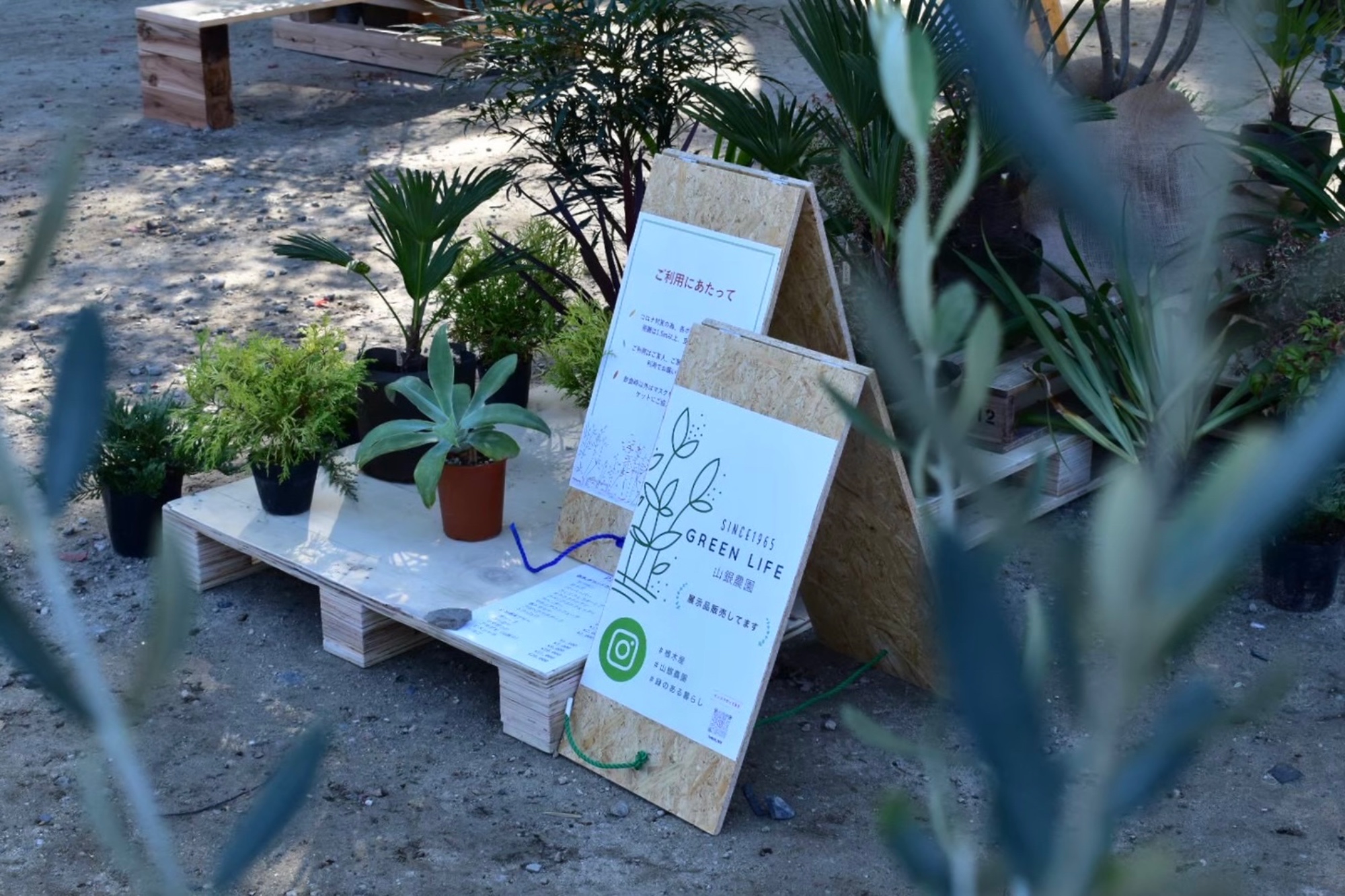 愛知県あま市甚目寺コミュニティつなぐ市場マルシェの緑の休憩所