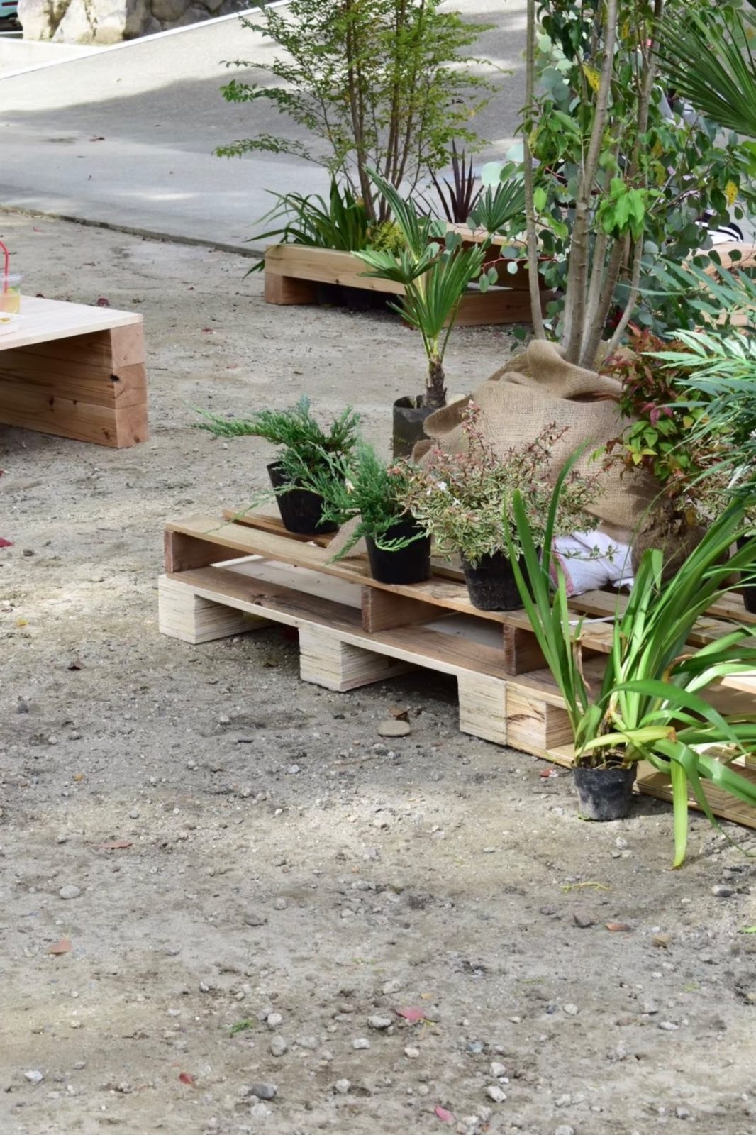 愛知県あま市甚目寺コミュニティつなぐ市場マルシェの緑のパレット