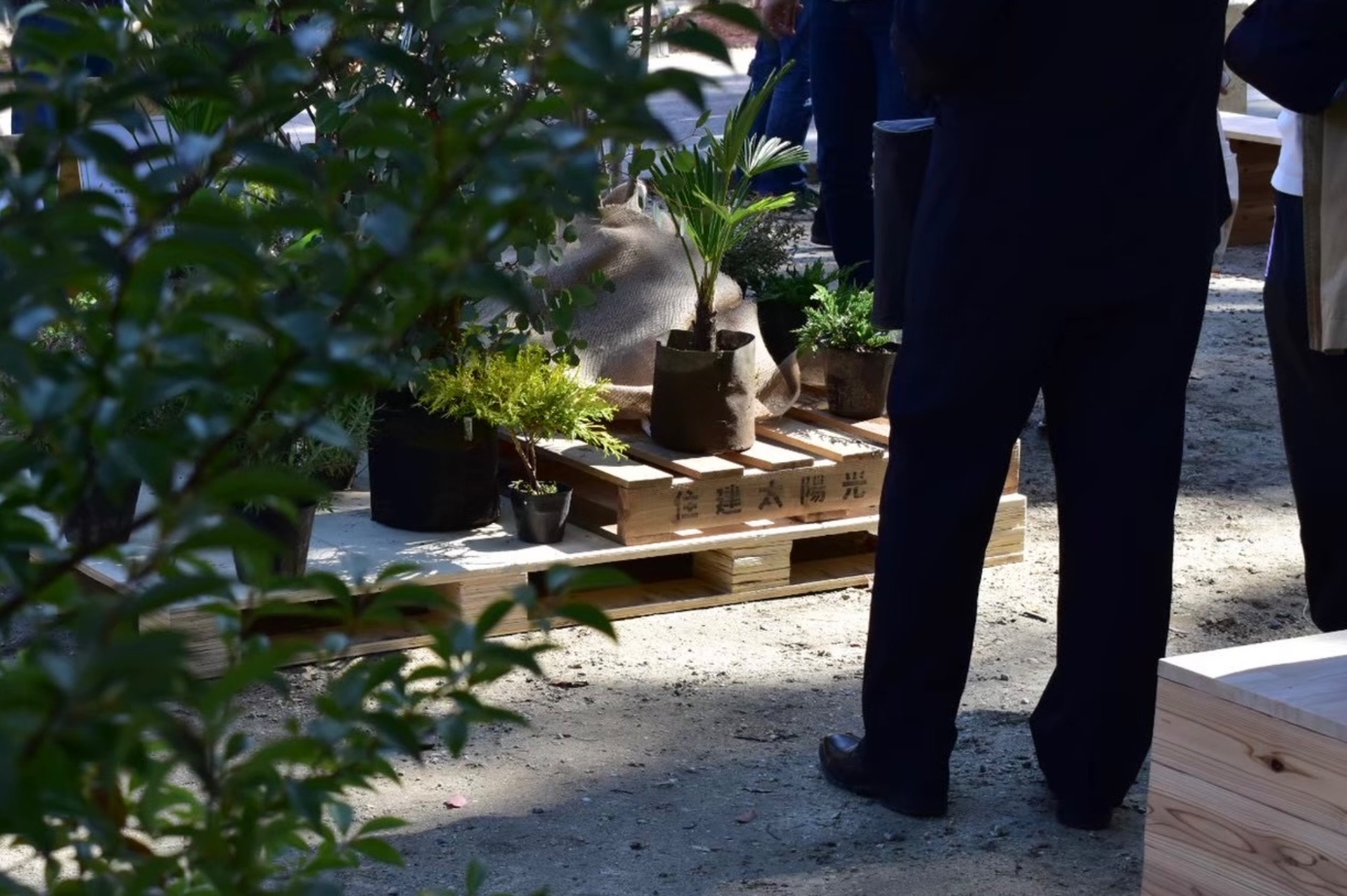 愛知県あま市甚目寺コミュニティつなぐ市場マルシェの植栽屋園芸