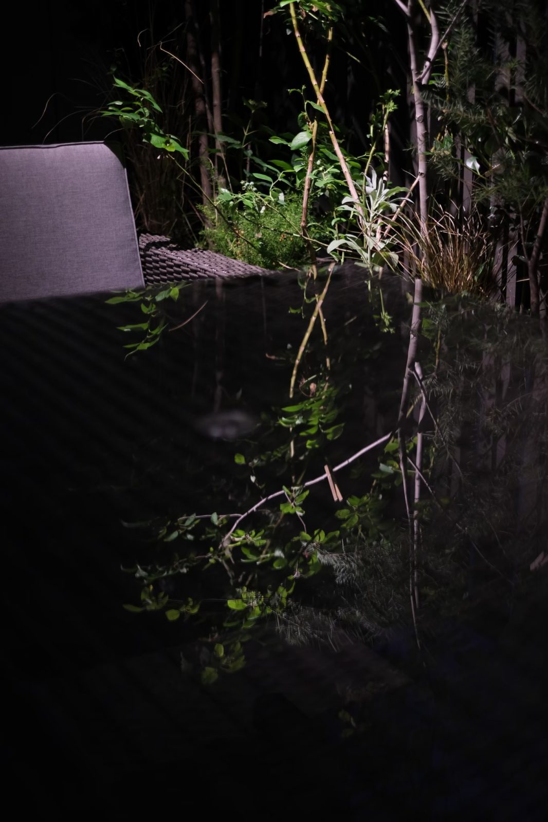 京都のリノベーションモダン住宅の夜景