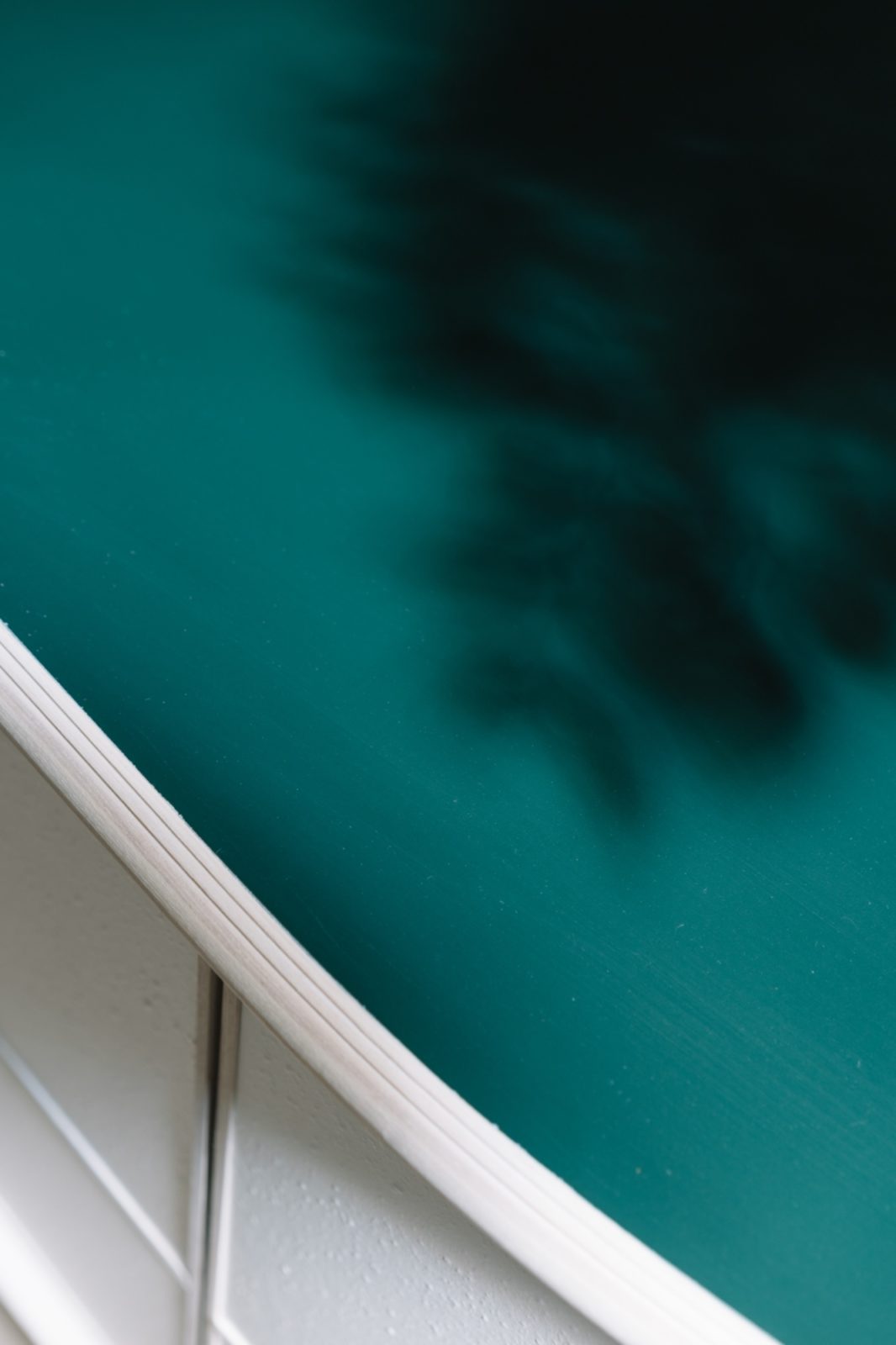 奈良生駒の北欧風庭屋住宅リノベーション木陰