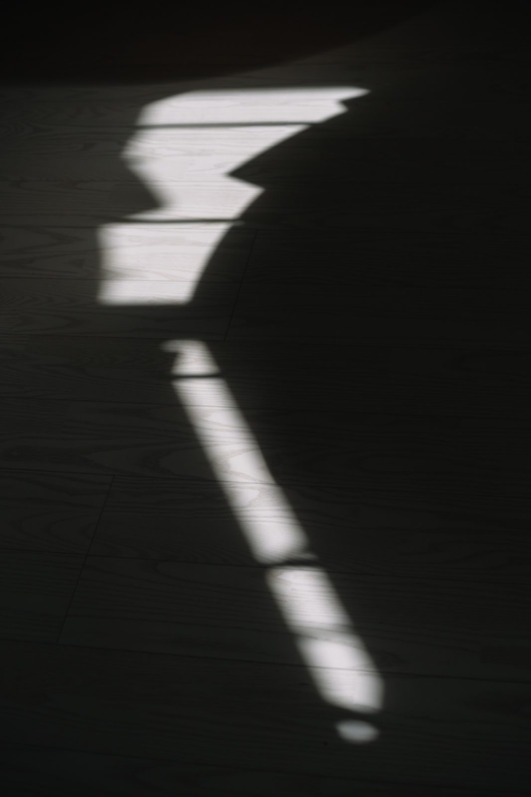 奈良生駒の北欧風庭屋住宅リノベーション陰影